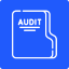 IRS Audit